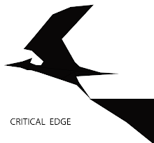 critical edge logo